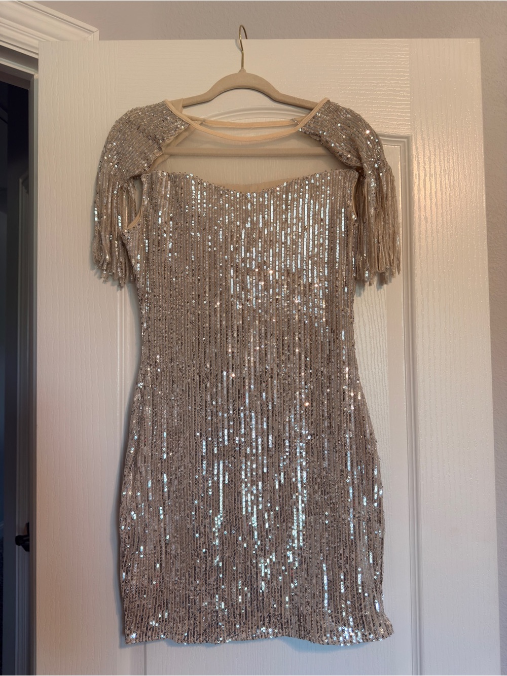 Hello Molly Champagne Sequin Fringe Mini Dress